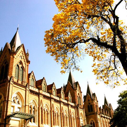 Entrevista para o Boletim Conectar da FCMSCSP