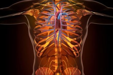 Quando Internar um Paciente com Síncope?